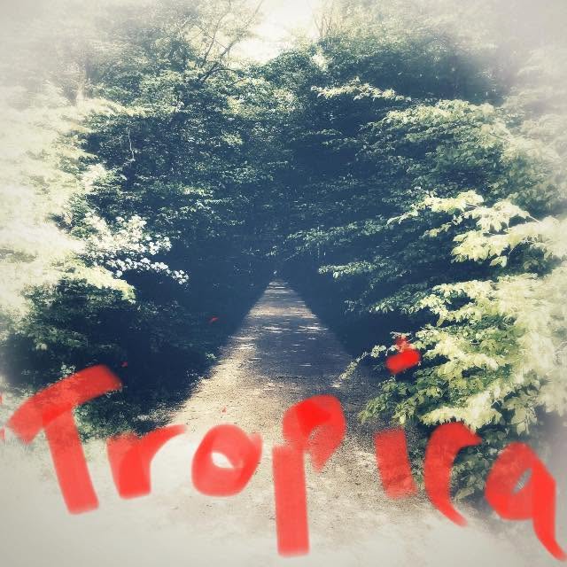 tropicarock